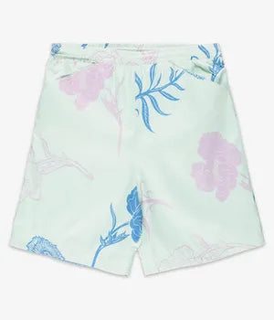 Nike SB Board Shorts Novelty Green